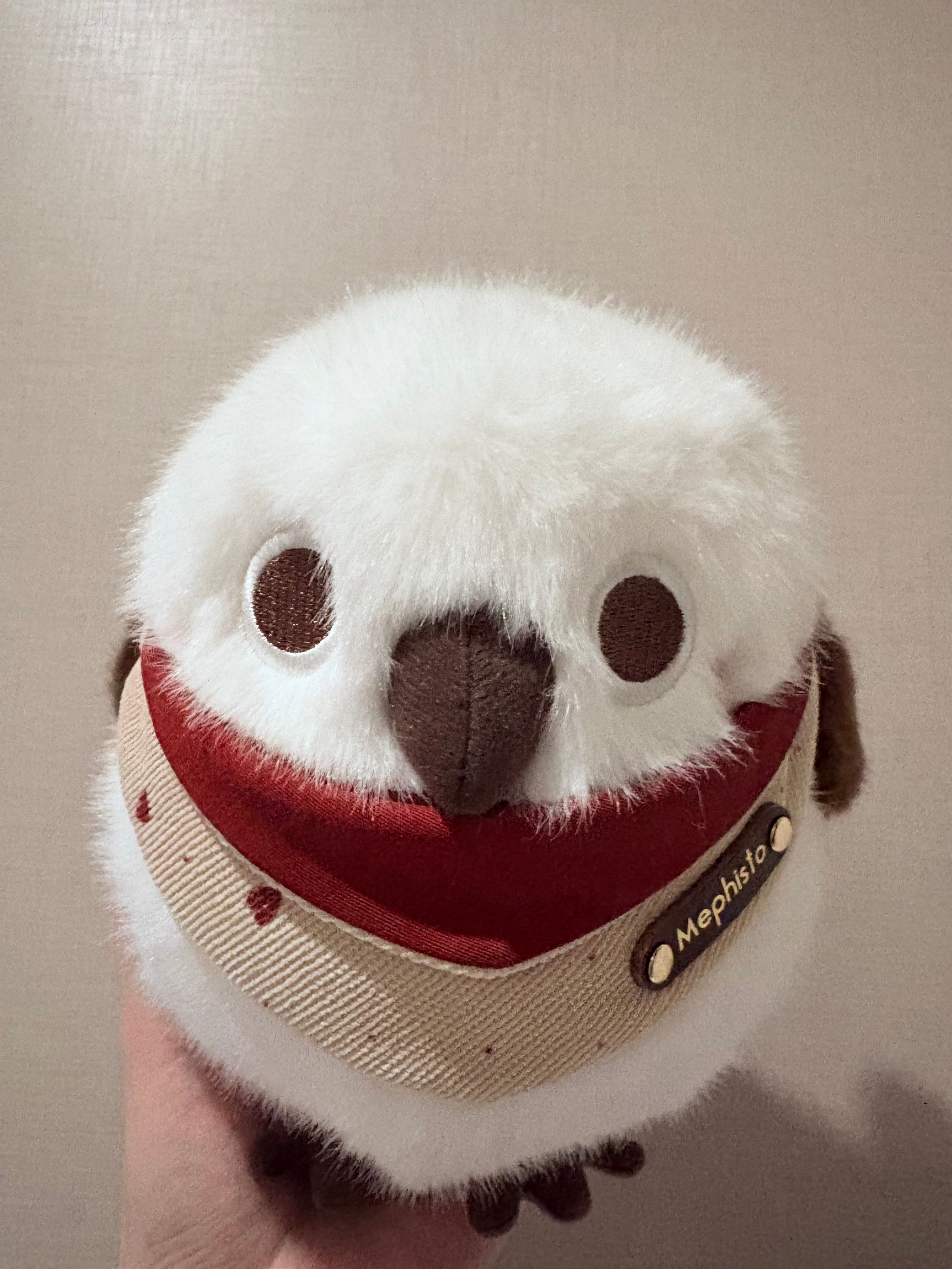 Personalized Pet Bib – Custom Name Bandana with Fasteners