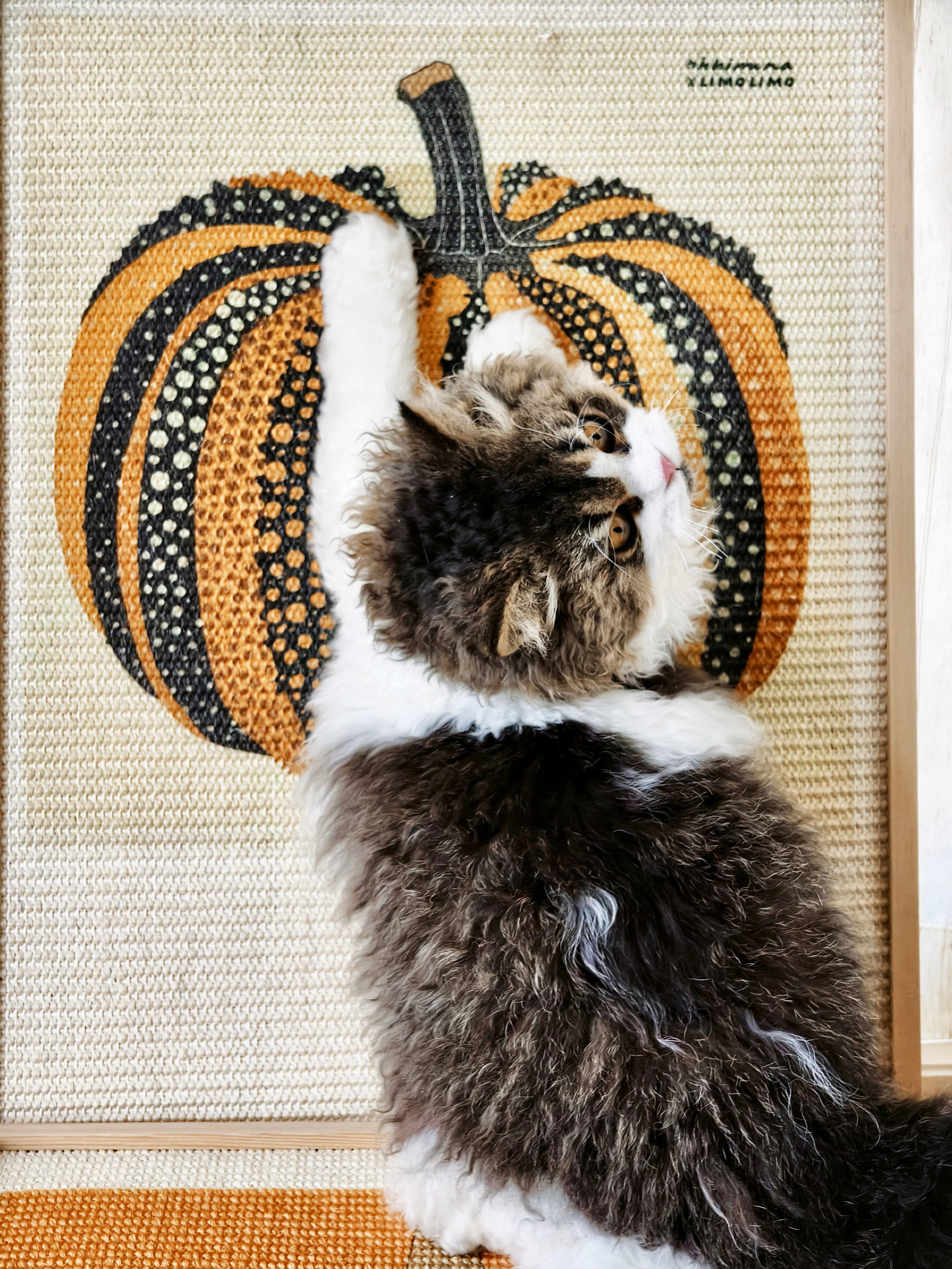 Pumpkin Series Cat Scratcher - Natural Sisal and Solid Wood