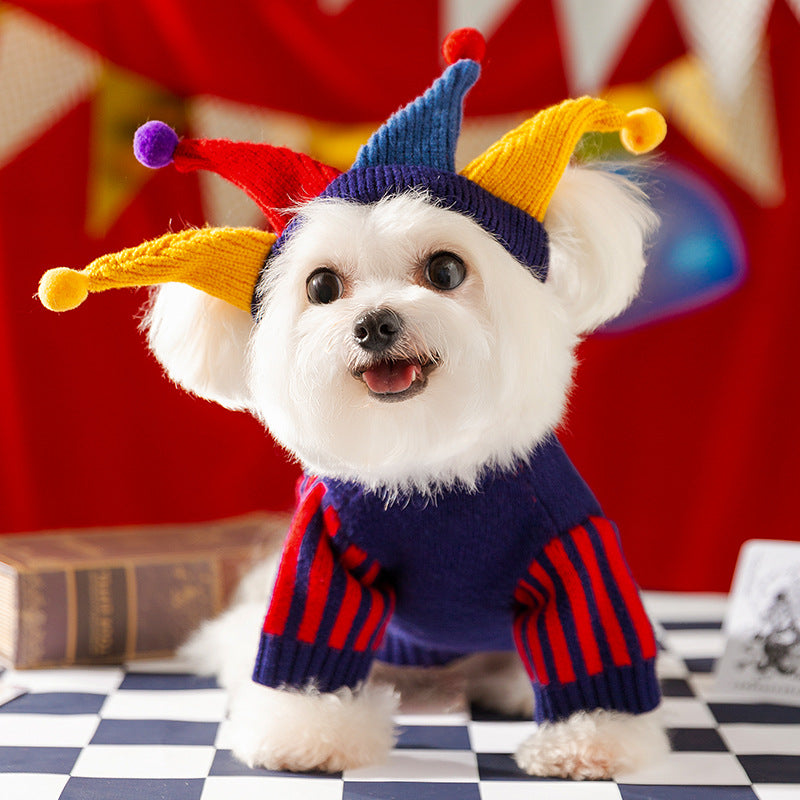 Circus Winter Pet Sweater – Crazy Costume Set for Dogs& Cats